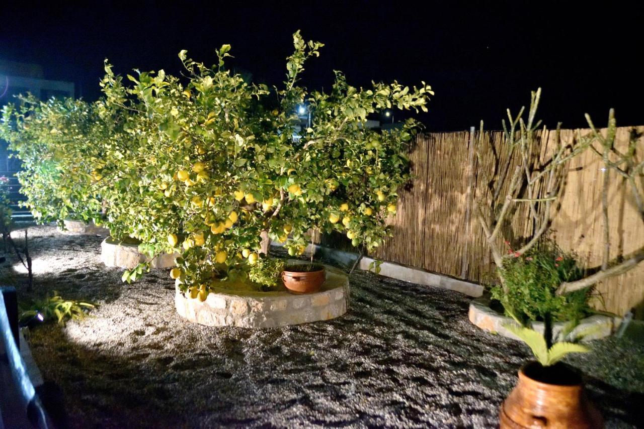 Plumeria House Archangelos  Exterior foto